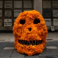 A skull covered in marigolds rests in front of a wall of graves, Mexico City, Oct. 27 2009 Halloween Day of the Dead Dia de los Muertos